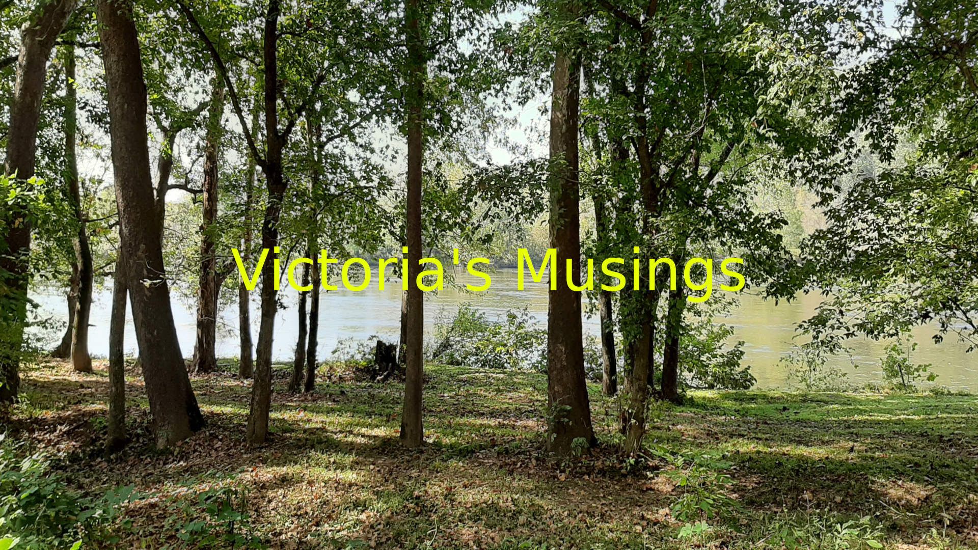 View of New River in North Carolina through trees