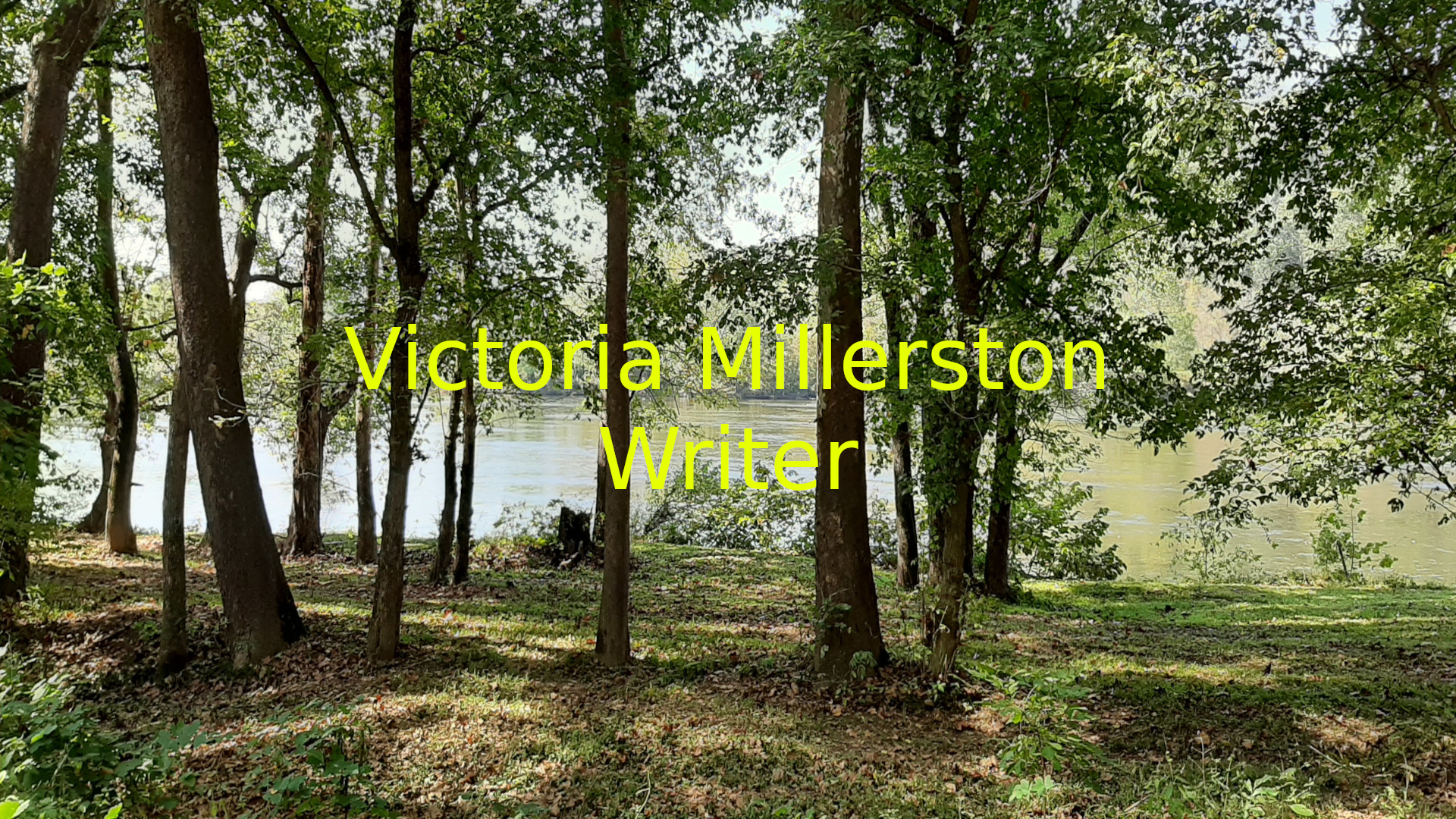 View of New River in North Carolina through trees